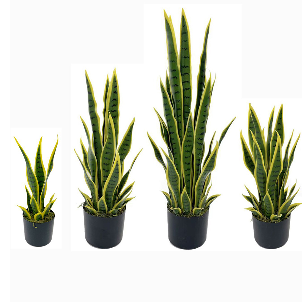 Bonsai Garden Zen - 40-100cm Künstliche Sansevieria Schlangenpflanze mit Schwarzem