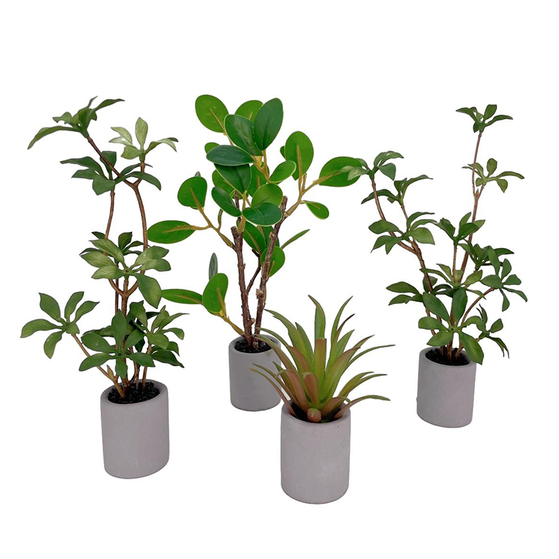 Bonsai Garden Zen - 1:6 Puppenhaus Miniatur Topfpflanze Grünblättriger Blumentopf