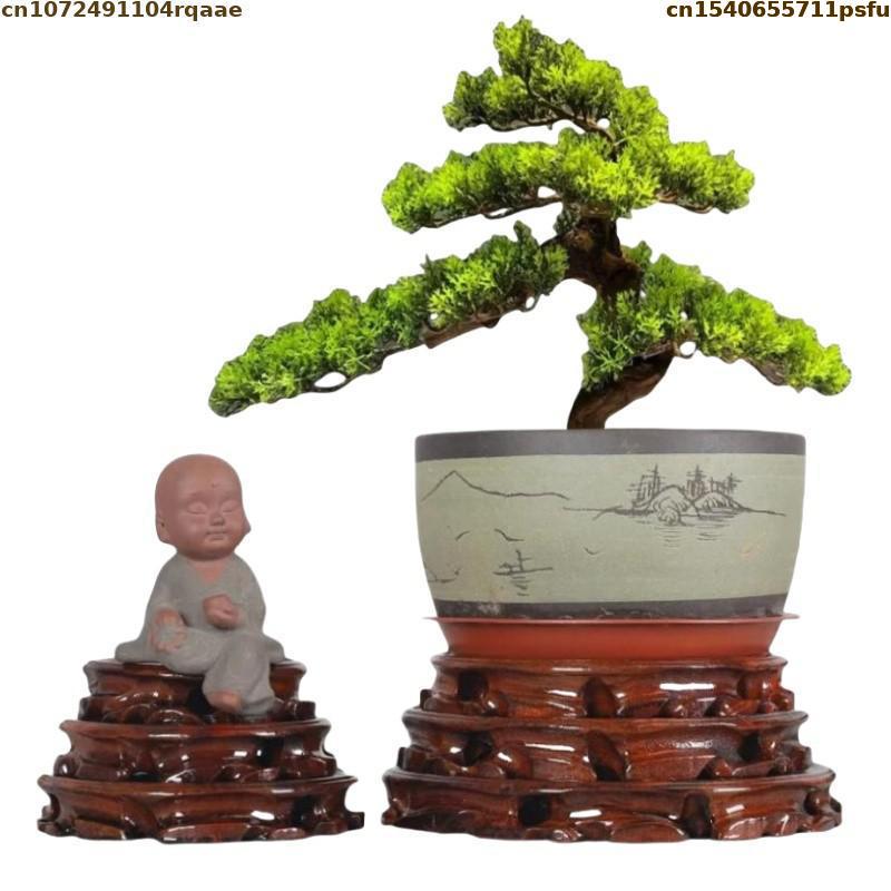Bonsai Garden Display - 6–30 cm Durchmesser, stehend, Blumenbasis, Vase,