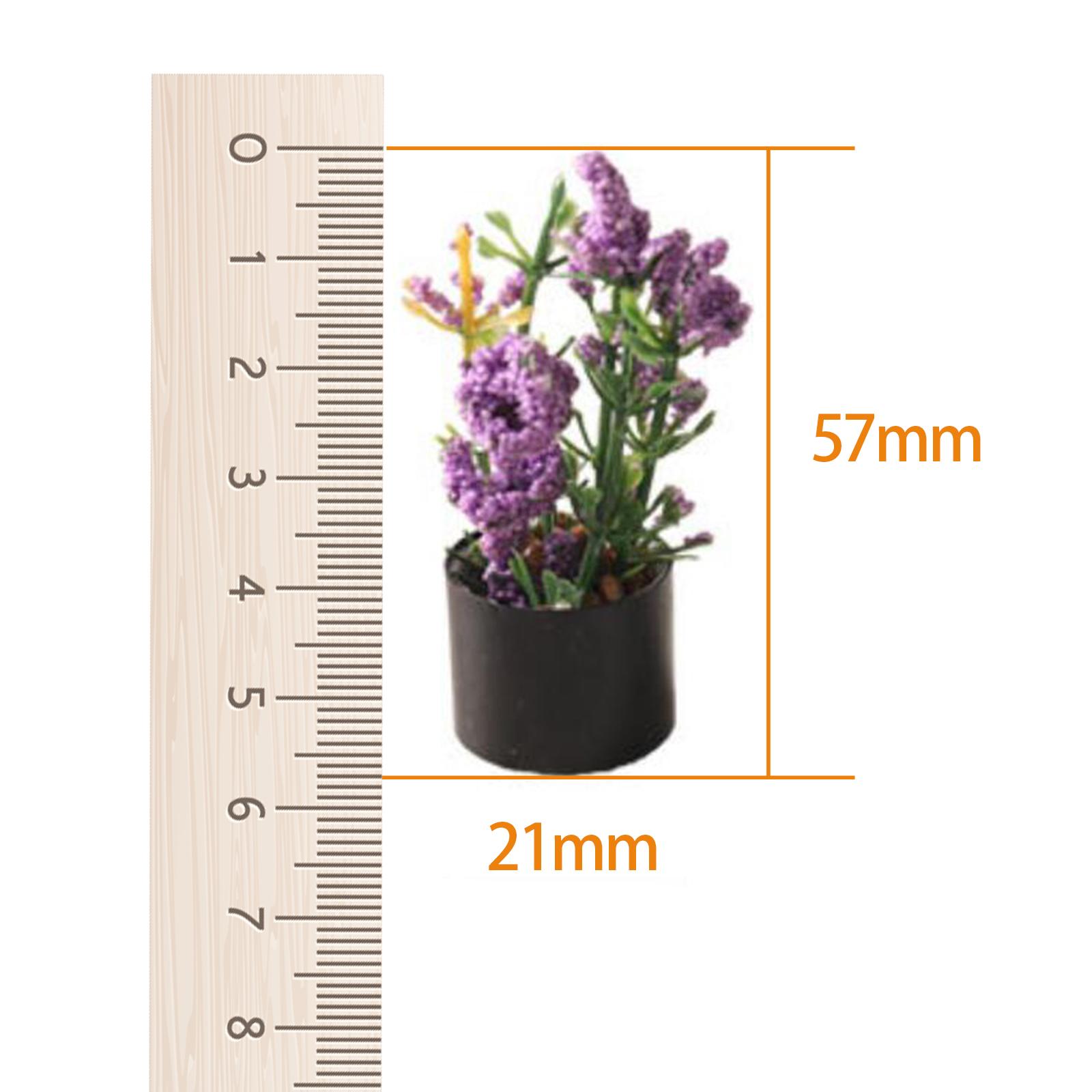 1/12 Miniatur-Blumen-Bonsai-Or – Bonsai Garden Photos Bewertung und Preis