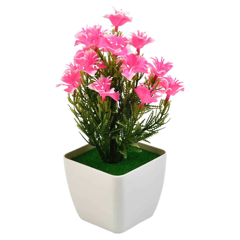 Hochwertige neue Accessoires,  – Bonsai Garden China Bewertung und Preis