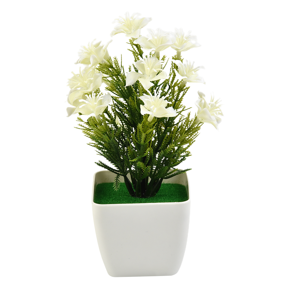 Hochwertige neue Accessoires,  – Bonsai Garden China Bewertung und Preis