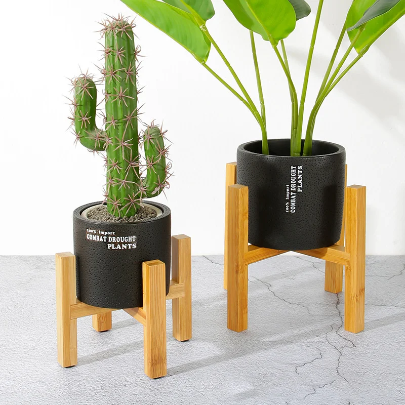 Pflanze Blumentopf Ständer Kle – Bonsai Garden Display Bewertung und Preis