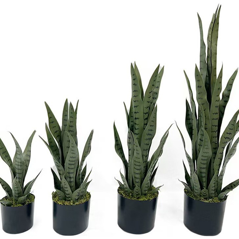 40-100cm Künstliche Sansevieri – Bonsai Garden Zen Bewertung und Preis