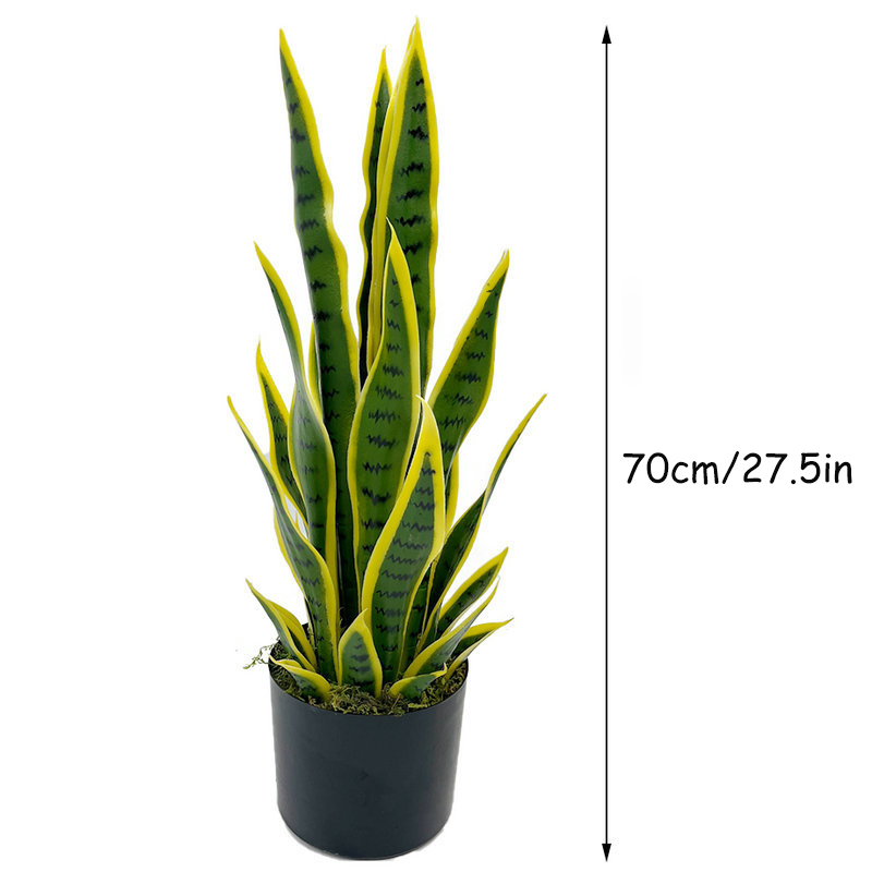 40-100cm Künstliche Sansevieri – Bonsai Garden Zen Bewertung und Preis