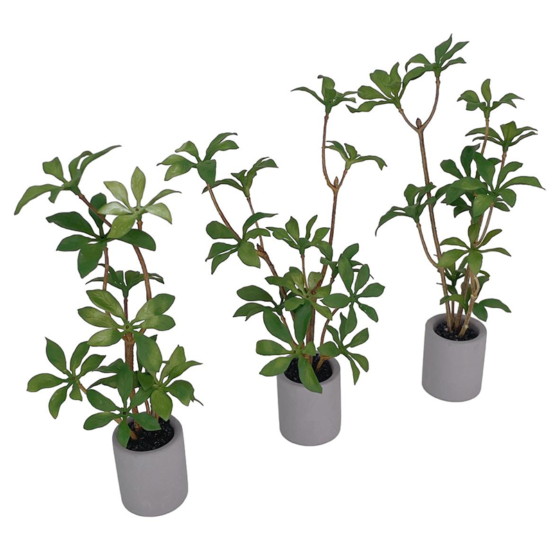 1:6 Puppenhaus Miniatur Topfpf – Bonsai Garden Zen Bewertung und Preis