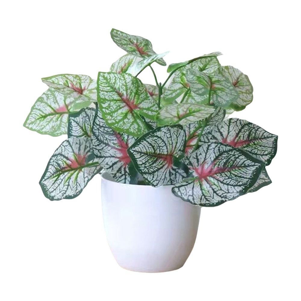 Mini Künstliche Topfpflanzen B – Bonsai Garden Zen Bewertung und Preis