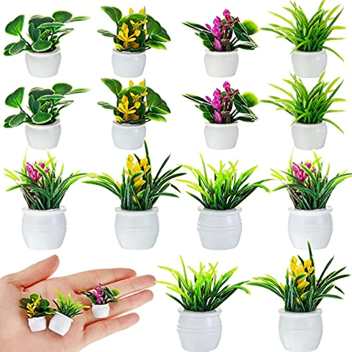 Puppenhaus-Pflanze, Miniatur-B – Bonsai Garden Zen Bewertung und Preis