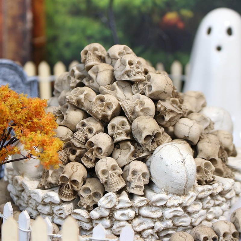 Realistische Totenkopf-Figuren – Bonsai Garden Display Bewertung und Preis