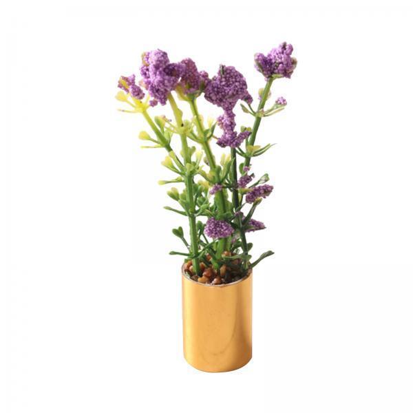 Miniatur-Topfpflanzen-Ornament – Bonsai Garden Display Bewertung und Preis