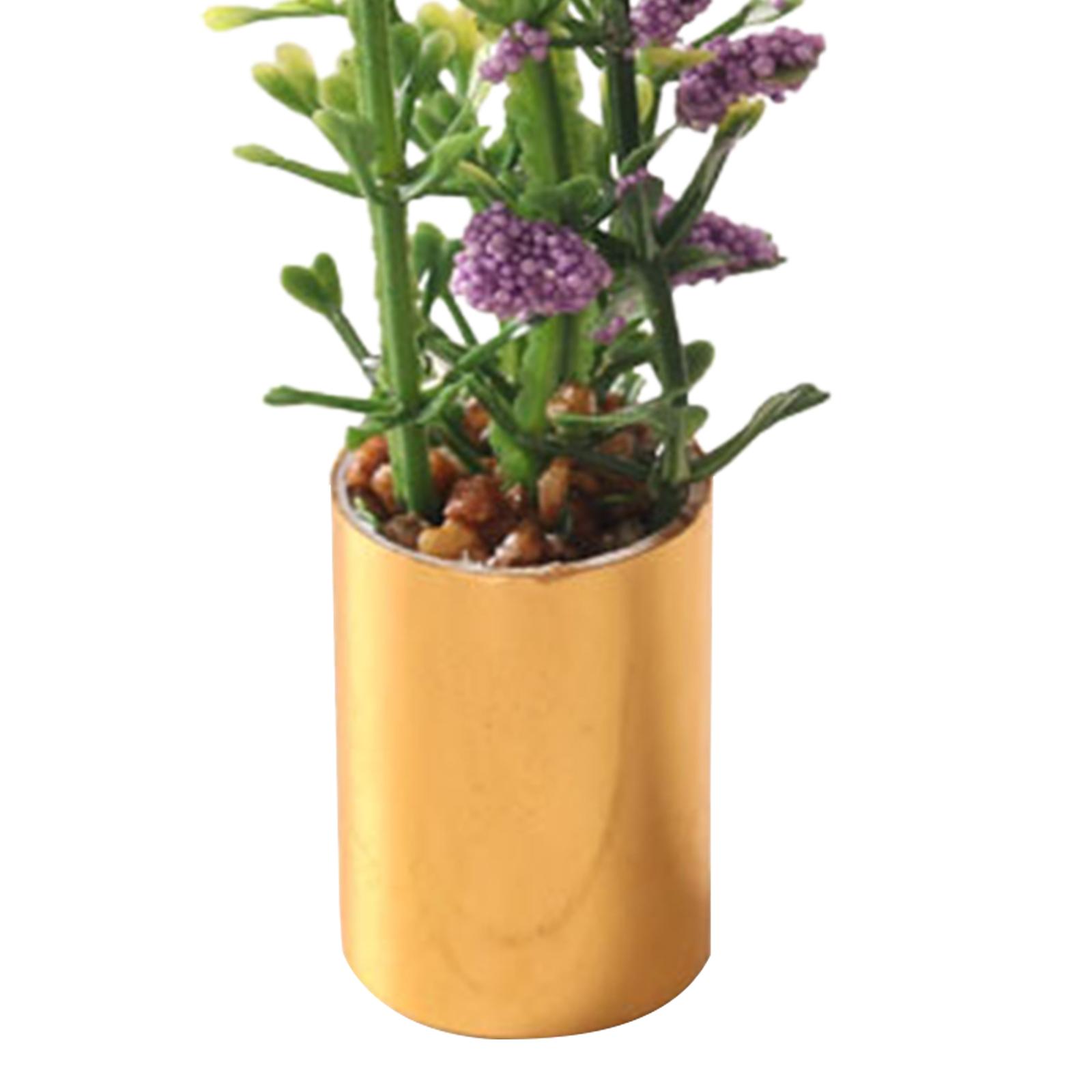 Miniatur-Topfpflanzen-Ornament – Bonsai Garden Display Bewertung und Preis