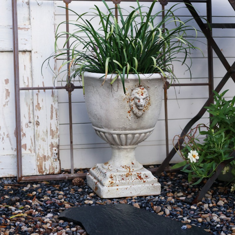 Antiker Löwenkopf-Pflanzer, al – Bonsai Garden Display Bewertung und Preis