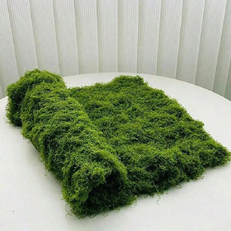 Künstliches Moos für Mikroland – Bonsai Garden Zen Bewertung und Preis