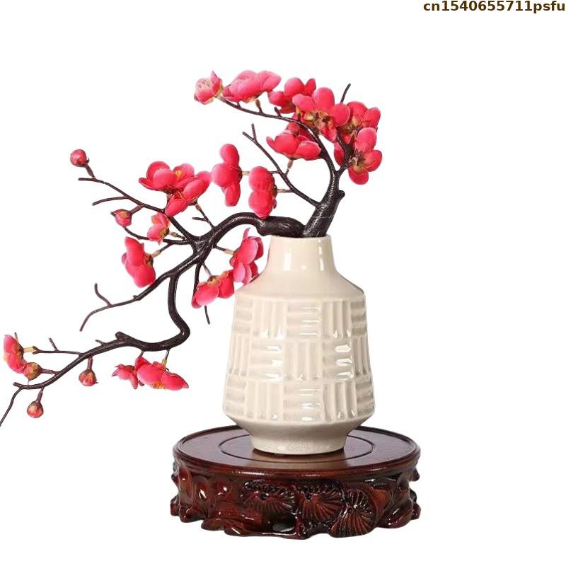 6–30 cm Durchmesser, stehend,  – Bonsai Garden Display Bewertung und Preis