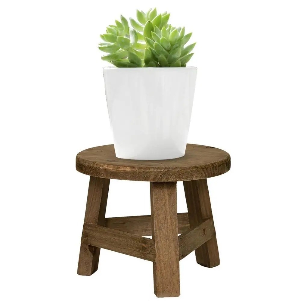 Modernes Bonsai-Regal aus Holz – Bonsai Garden Display Bewertung und Preis