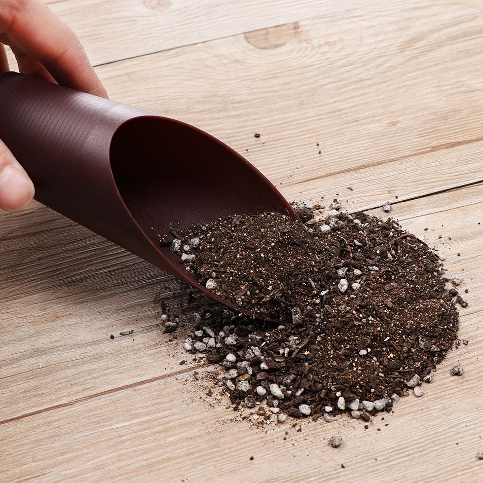1PC Kunststoff Boden Schaufel  – Bonsai Garden Zen Bewertung und Preis